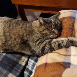 Meet your Posher, Trudy